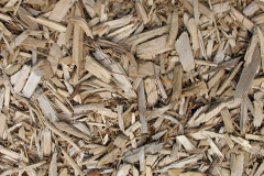 biomass boilers Leargybreck